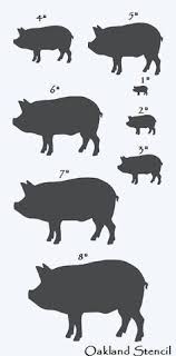 24 Best Porci Images Animal Drawings Pig Art Wild Boar