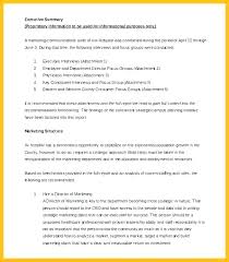 Executive Summary Report Example Template