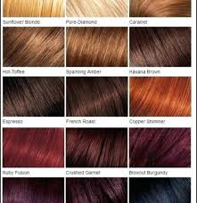 Red Violet Hair Color Chart