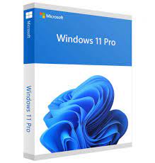 windows 11 professional microsoft