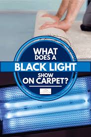 what does a black light show on carpet