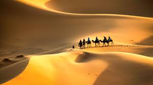 Where is morocco explored camel trek camp? Sahara Desert Morocco 2021 Top 10 Tours Activities With Photos Things To Do In Sahara Desert Morocco Morocco Getyourguide