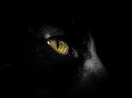 Hd Wallpaper Cat Eye Black Amoled