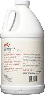 deep cleaning stain and odor remover