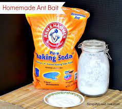 effective homemade ant bait