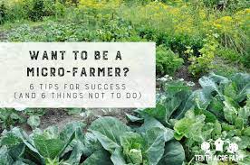 Want To Be A Micro Farmer 6 Tips For