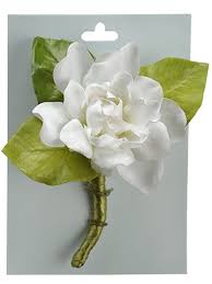 5 Gardenia Corsage On Card White