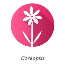 Coreopsis Pink Flat Design Long Shadow
