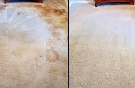 carpet cleaning services for churches