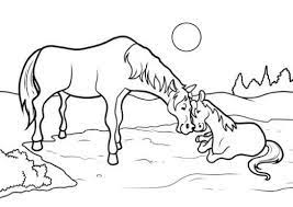 Due cavalli innamorati cavallo mustang cartone animato. Disegno Stilizzato Bambina Con Cavallo Coloring And Drawing