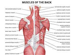 how to treat a pulled back muscle in 8