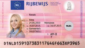 Change your name or address. How To Obtain Dutch Driver S License Driver License Online Drivers License Passport Online