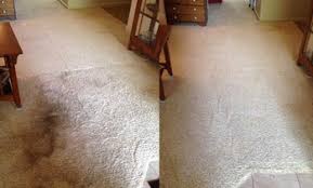 tacoma carpet cleaning deals in and