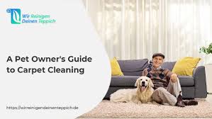 a pet owner s guide to carpet cleaning