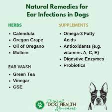 remes for dog ear infections