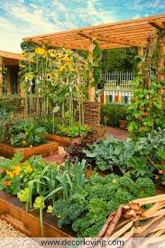 18 Fabulous Backyard Vegetable Garden