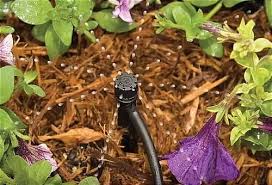 The drip irrigation system also requires a manifold and valves and a clock but the similarities to a sprinkler system stop there. How Can I Plan Drip Irrigation Systems For My Garden In 2020 Drip Irrigation System Irrigation Drip Irrigation