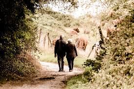 Image result for old couple images