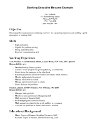 Resume Example With Skills Section