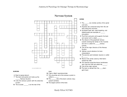 Nervous Crossword Puzzle