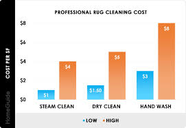 2023 rug cleaning costs professional