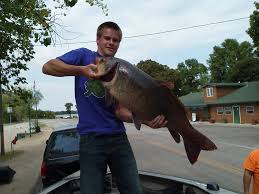 buffalo carp in fisherman