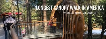 visiting the longest canopy walk in america