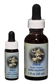 olive healingherbs flower essences of