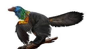 We did not find results for: Newly Discovered Dino Had A Rainbow Of Shiny Feathers Smart News Smithsonian Magazine