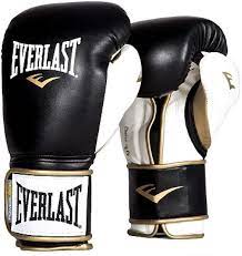 the best everlast boxing gloves for