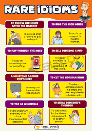 56 rare idioms in english uncover