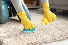 the complete guide to cleaning a carpet