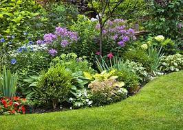 how to create a herbaceous border on a