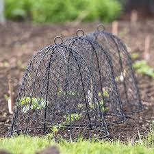 garden s 10 ideas for wire cloches