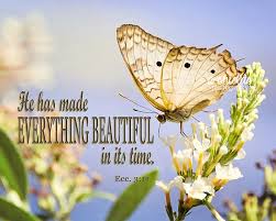 Butterfly | Scripture | He has made everything beautiful in its ... via Relatably.com