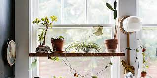 Tips For Growing Indoor Gardens In