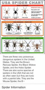 Usa Spider Chart Deadly Dangerous Spider Bite First Aid