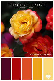 color palette o yellow paper