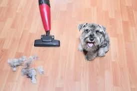 keep hardwood floor clean of dog hair