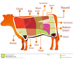 Beef Cutting Chart Stock Illustration Illustration Of Beef