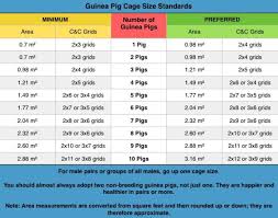 Cage Size Guinea Pigs Australia