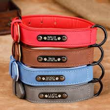 Personalized Laser Engraved Pu Leather Padded Dog Collar And Or Leash