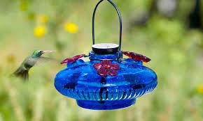 do hummingbirds like blue feeders
