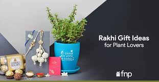 Rakhi Gift Guide For Urban Gardeners