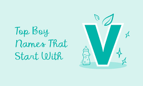 top baby boy names that start with v