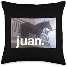 Pagina hecha exclusivamente para fans de los famosos memes denle like :d. Amazon Com Horse Memes Juan Horse On Balcony Meme Throw Pillow 16x16 Multicolor Home Kitchen