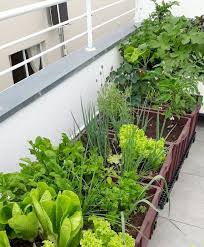 balcony garden ideas with a diy balcony