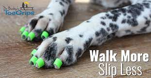 dr buzby s toegrips for dogs stop