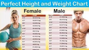 height weight chart the ideal weight