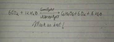 Write Balanced Chemical Equation For